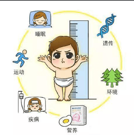 莫让孩子错失“长高”的时机