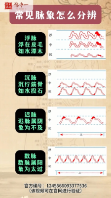 常见脉象如何分辨，8秒讲明白！【官方编号：1245566093377536】