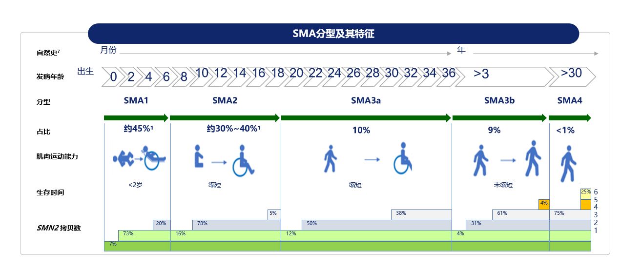 脊髓性肌萎縮症(spinal muscular atrophy,sma)是一種遺傳性神經肌肉