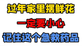 过年家里摆鲜花，一定要小心，记住这个药【官方编号：1300373481676800】