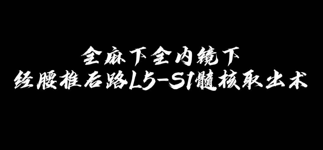 全麻下内镜下经腰椎后路L5-S1髓核取出术【官方编号：1241262802579456】